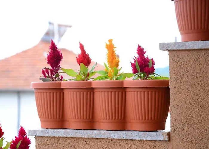 Gasthof House Of Time 4*